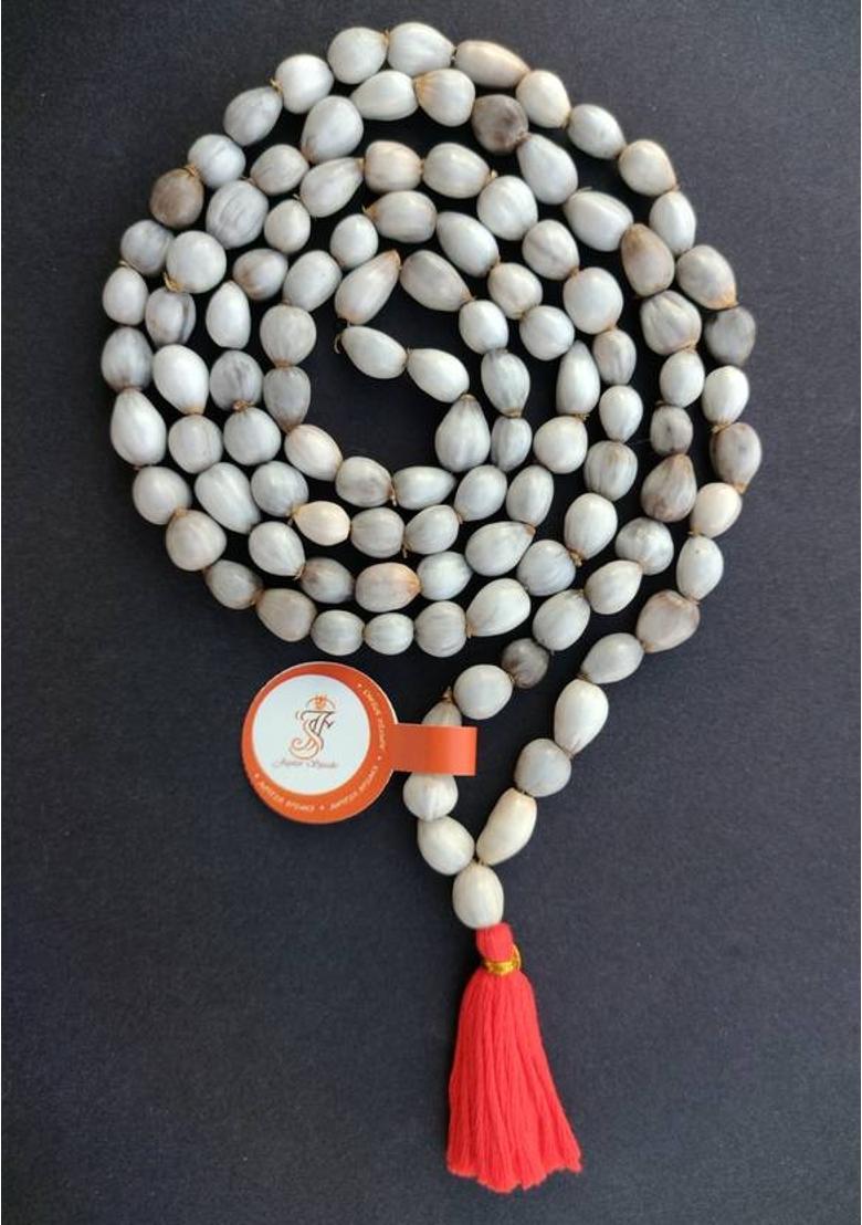 Original Vaijanti Mala Without Rudraksha for Japa Puja and Neck Wearing, 100% Pure 108+1 Nos Vaijayanti Beads Size 7-8 mm, Color Off White, Un-Knotted Rosary for Men and Women Wood Chain - Indya