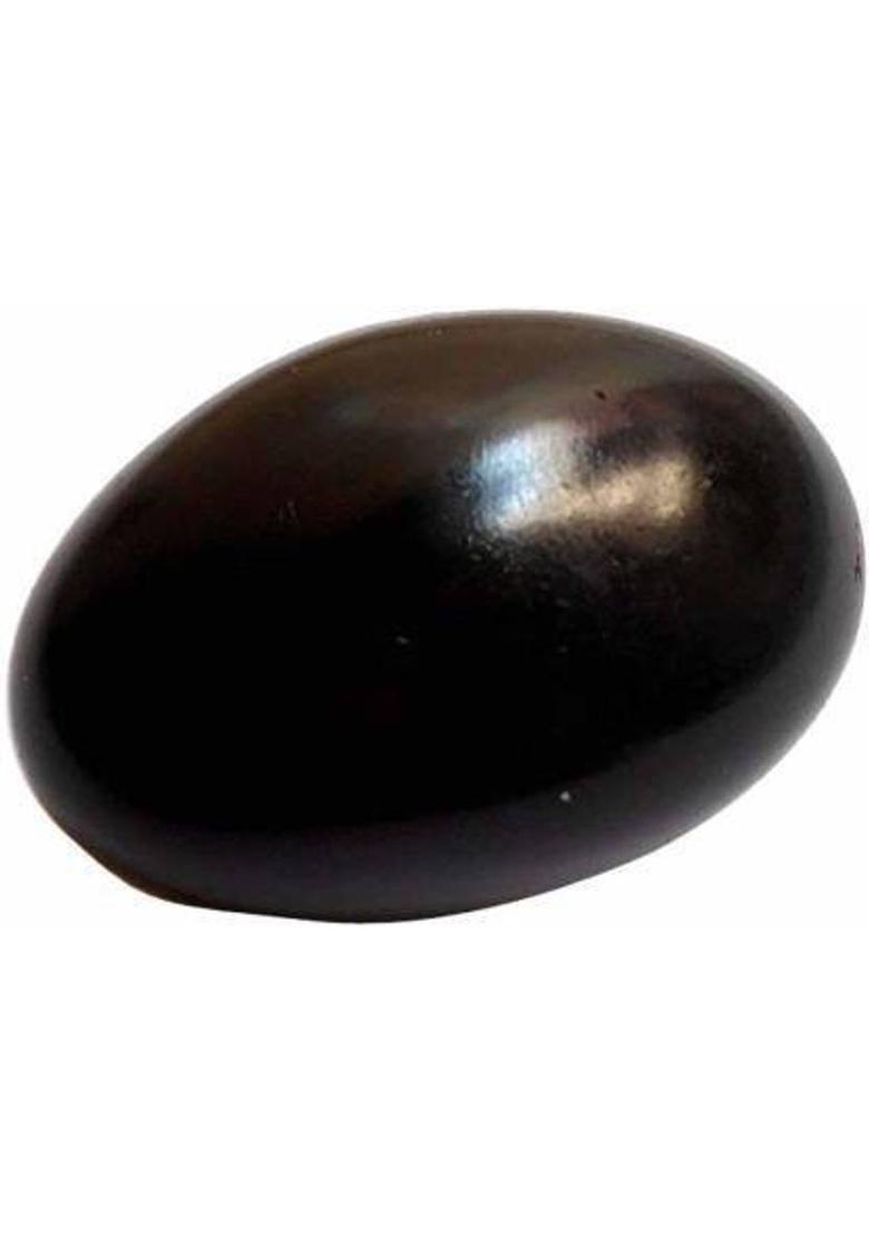 SHRI ASTHA VINAYAK SHALIGRAM (Laxmi Narayan Shaligram) Stoneware, Marble Yantra (Pack of 1) Stoneware Yantra&nbsp;&nbsp;(Pack of 1) - Indya