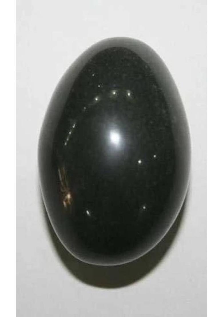 SHRI ASTHA VINAYAK SHALIGRAM (Laxmi Narayan Shaligram) Stoneware, Marble Yantra (Pack of 1) Stoneware Yantra&nbsp;&nbsp;(Pack of 1) - Indya