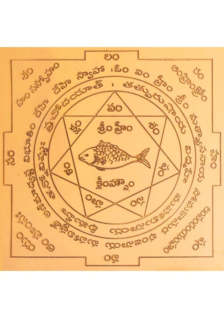 aalayam selveer Matsya Yantra(Vastu Matsya Yantra) | Matsya Yantram Telugu Size 6 Inches Copper Yantra - Indya