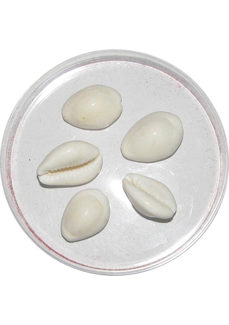 KANISHQ Brass Yantra&nbsp;&nbsp;(Pack of 1) - Indya