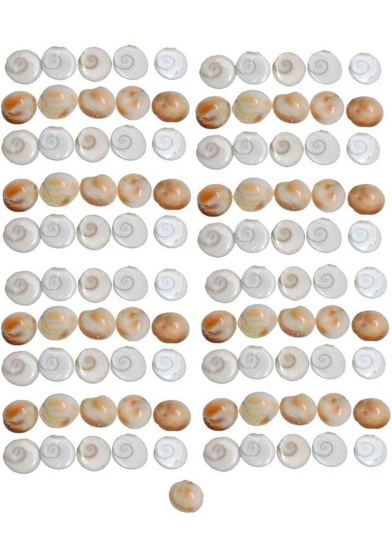 MORMUKUT Natural Kamalgatta Pooja Mala, Lakshmi Pooja Mala (Lotus Seeds), Kamal Gatta Mala for pooja Beads Wood Necklace Stoneware Yantra&nbsp;&nbsp;(Pack of 1) - Indya