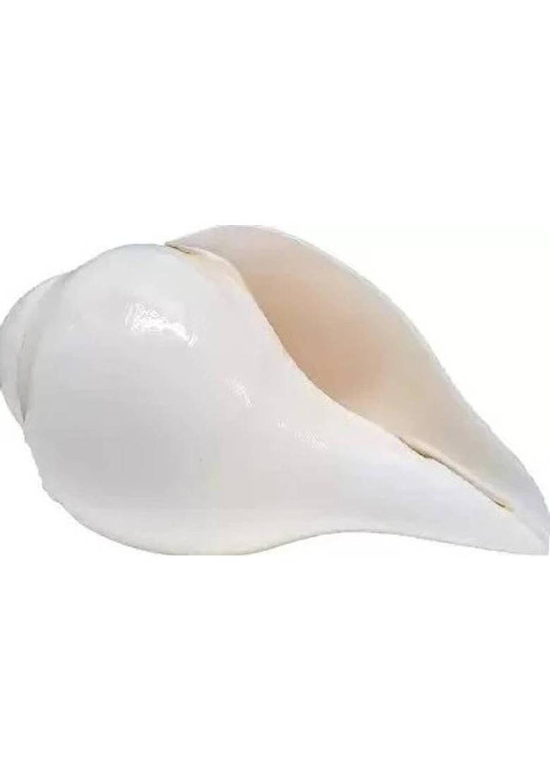 KANISHQ RELIGIOUS IDOL BROWN COLOUR SUN/SURYA FACE 20 CM Brass Yantra&nbsp;&nbsp;(Pack of 1) - Indya