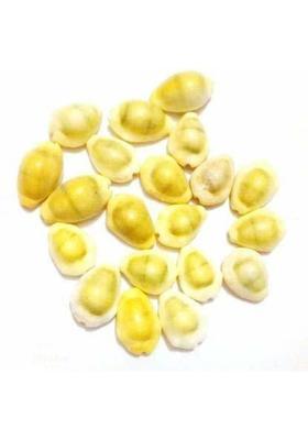 SHREE JI PUJA SAMAGRI KENDRA Stoneware Meerut Bazaar Yellow Lakshmi Kaudi | Peeli Kowdi Cowrie (20 pieces) Vastu Shastra Remedies for Diwali Poojan Marble Yantra&nbsp;&nbsp;(Pack of 20)
