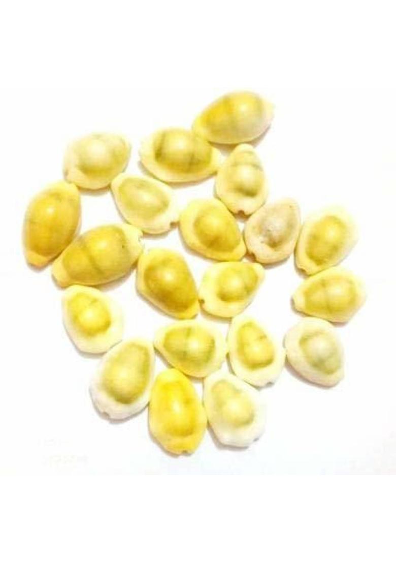 SHREE JI PUJA SAMAGRI KENDRA Stoneware Meerut Bazaar Yellow Lakshmi Kaudi | Peeli Kowdi Cowrie (20 pieces) Vastu Shastra Remedies for Diwali Poojan Marble Yantra&nbsp;&nbsp;(Pack of 20) - Indya