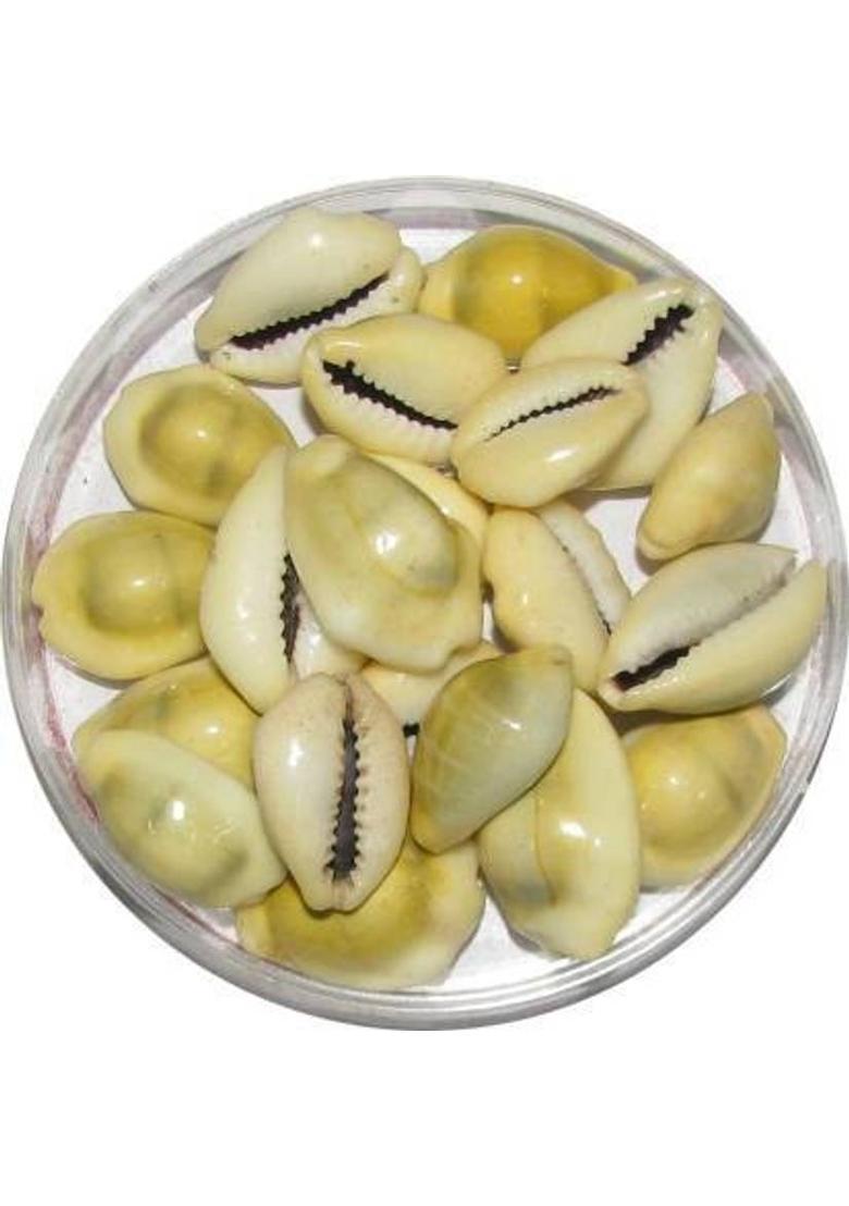 SHREE JI PUJA SAMAGRI KENDRA Stoneware Meerut Bazaar Yellow Lakshmi Kaudi | Peeli Kowdi Cowrie (20 pieces) Vastu Shastra Remedies for Diwali Poojan Marble Yantra&nbsp;&nbsp;(Pack of 20) - Indya