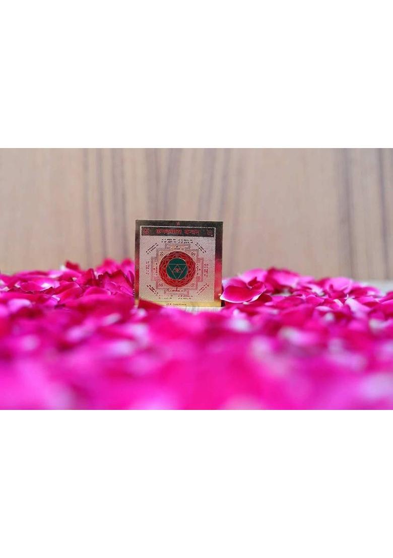 RUDRA DIVINE Brass Yantra&nbsp;&nbsp;(Pack of 1) - Indya