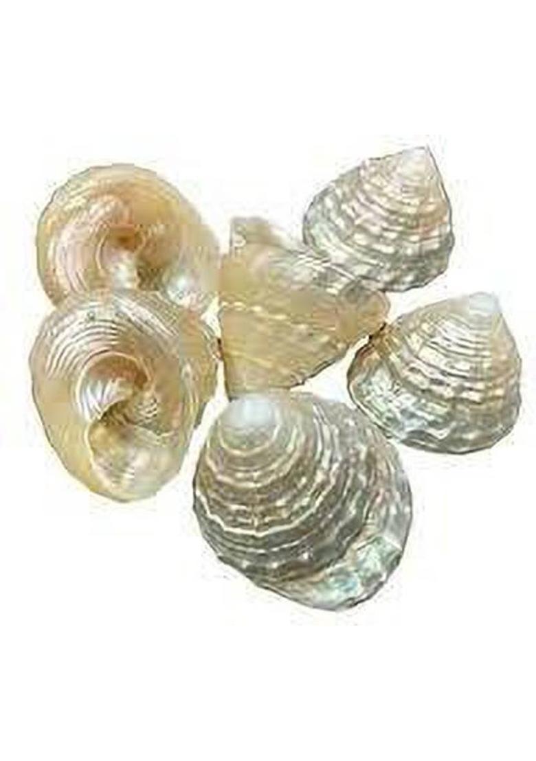 SHREE JAGDAMBA BHAWAN SHREE SAMPURNA VYAPAR VRIDHI YANTRA Brass Yantra&nbsp;&nbsp;(Pack of 1) - Indya