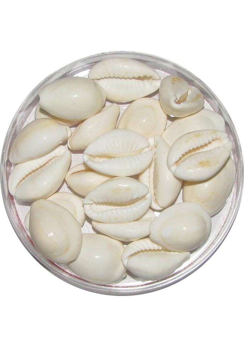 Kesar Zems Brass Yantra&nbsp;&nbsp;(Pack of 1) - Indya