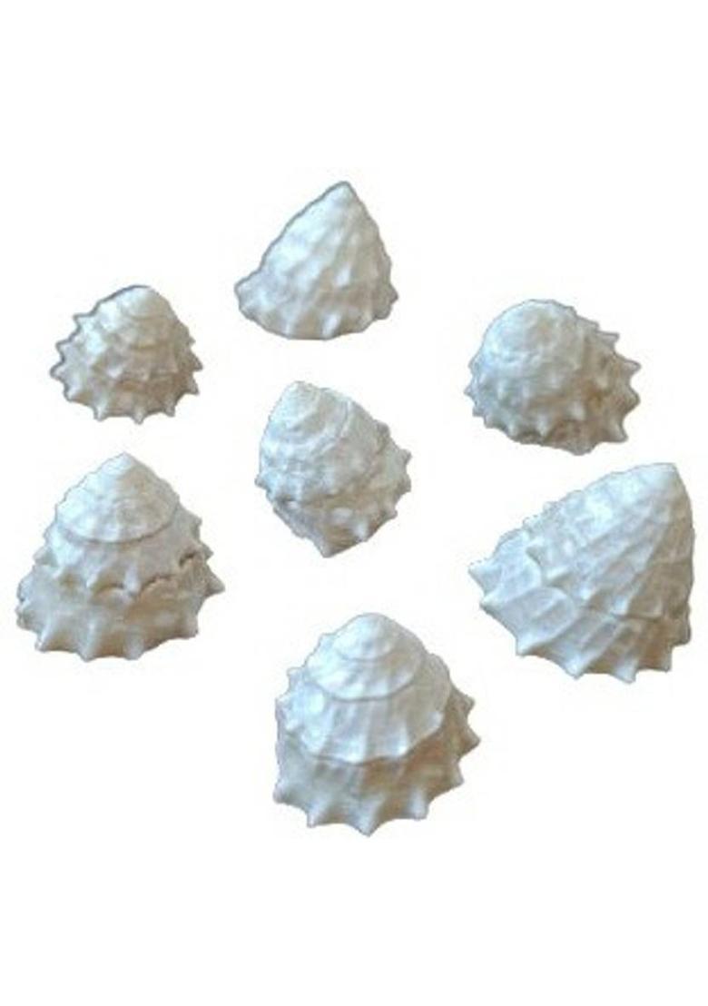 Om Shiv Copper Coins Pack Of 11 Copper Yantra&nbsp;&nbsp;(Pack of 11) - Indya