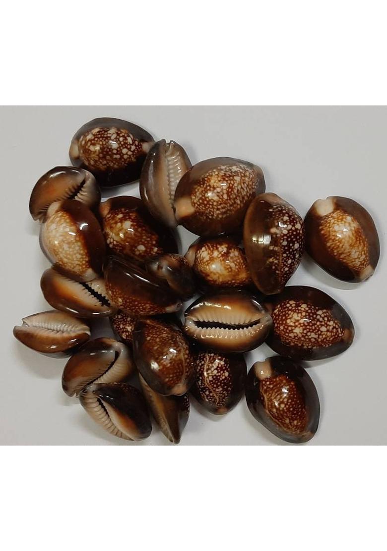 poojaarticals Marble Yantra - Indya