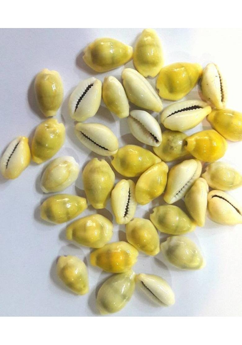 poojaarticals Marble Yantra - Indya