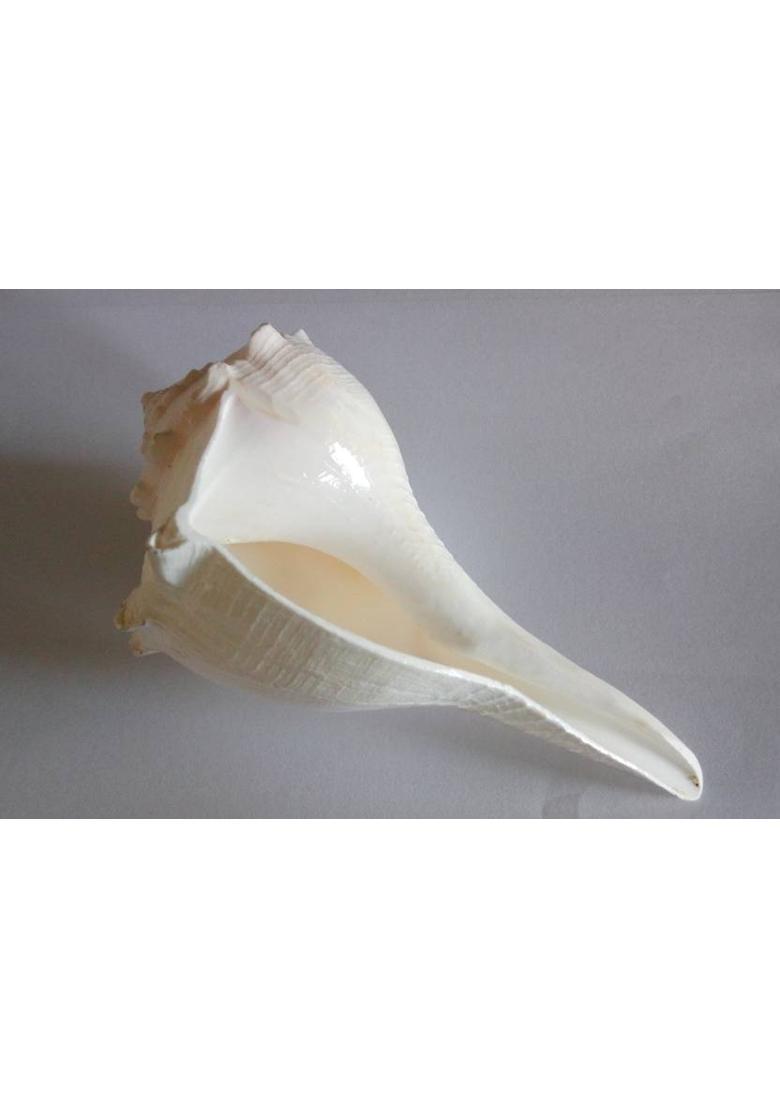 Spiritual Max Shri Sampurna Kuber Laxmi Yantra 15 x 15 cm without Frame Brass Yantra&nbsp;&nbsp;(Pack of 1) - Indya