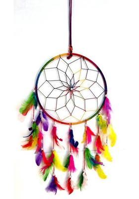 Unique Crafts Wall Hanging Decorative Showpiece - 20 cm&nbsp;&nbsp;(Feather, Multicolor)