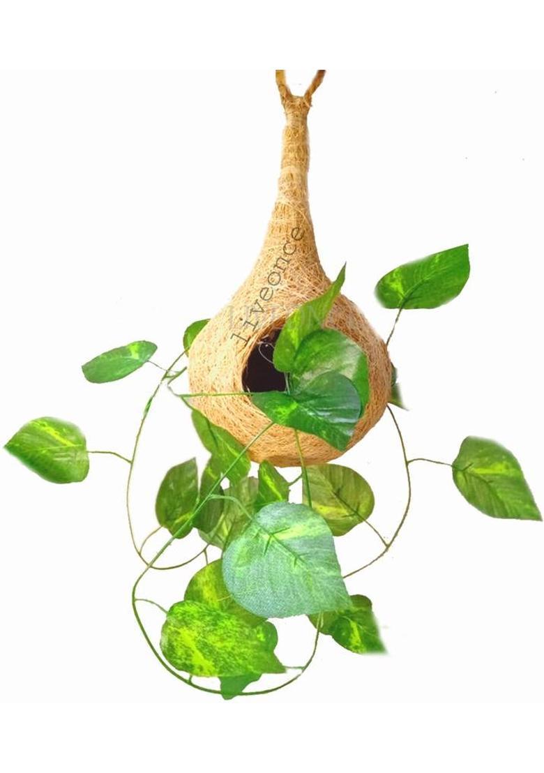 ROLINOLI Decorative Showpiece - 20 cm&nbsp;&nbsp;(Plastic, Multicolor) - Indya