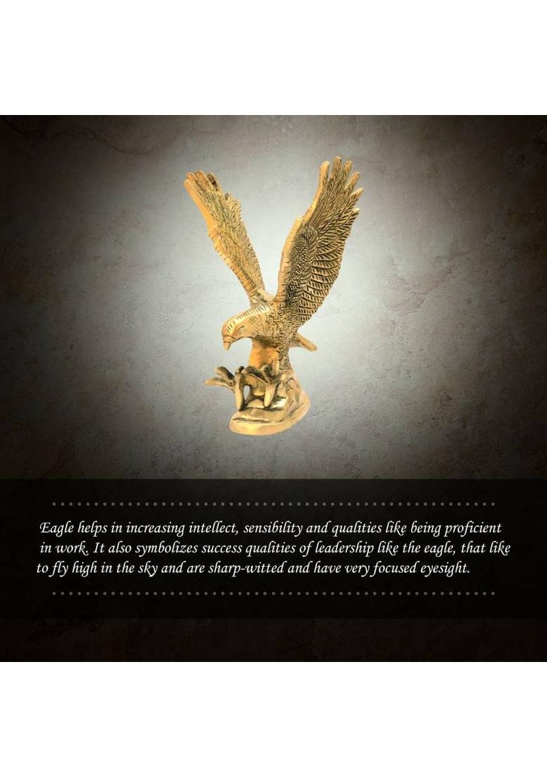 vastu vardan Vastu Brass Eagle For Skills / Weight-690gm Approx / Brass Flying Eagle Statue Decorative Showpiece - 15.5 cm&nbsp;&nbsp;(Brass, Gold) - Indya