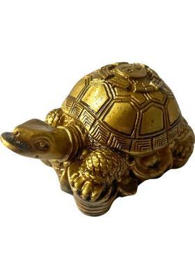 GJ Fengshui Vastu Tortoise House for Good Luck for Home Shop & Office Made in India Decorative Showpiece - 5 cm&nbsp;&nbsp;(Resin, Multicolor)