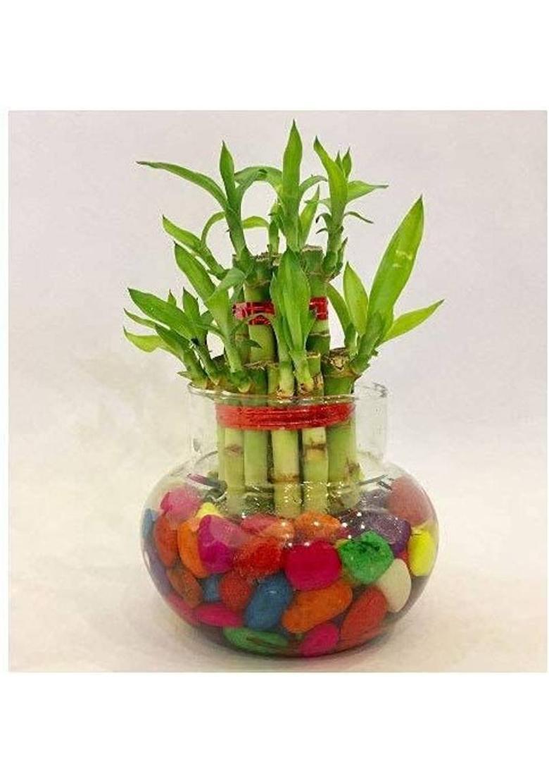 PURKUSH Fengshui Vastu Crystal Tortoise with Plate For Removing Negativity and For Good Health Money Prosperity Decorative Showpiece - 4 cm&nbsp;&nbsp;(Brass, White) - Indya