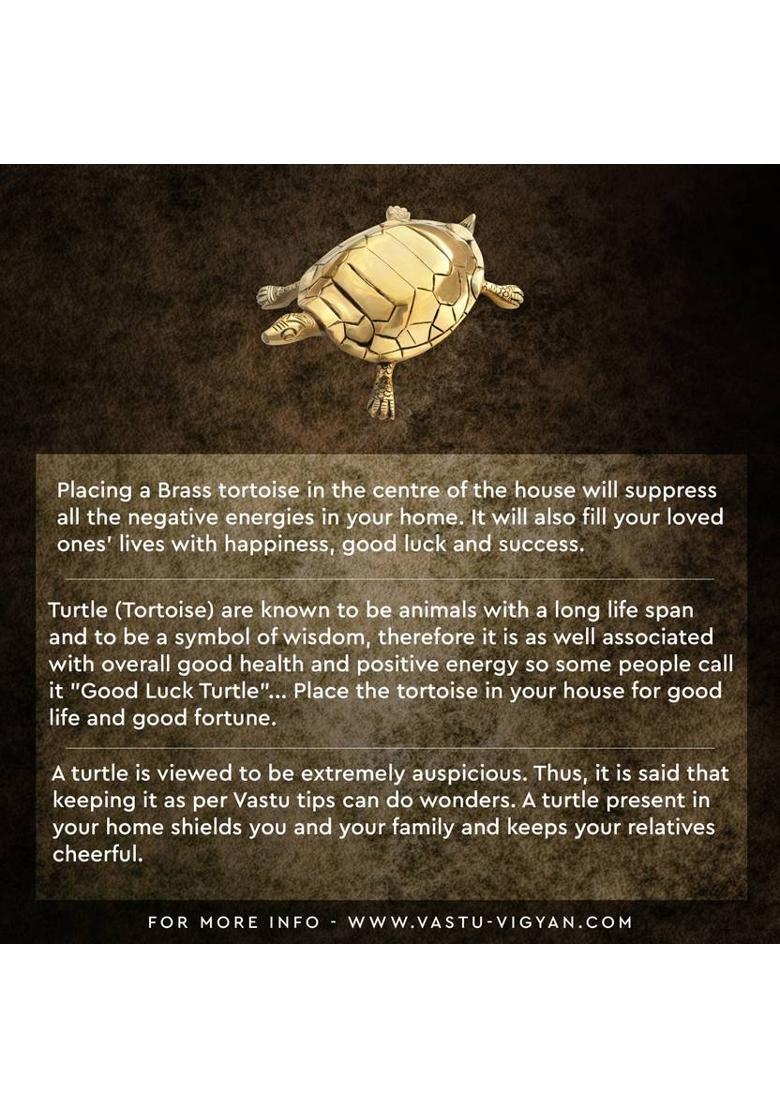 TREEMAISON Vastu Brass Tortoise For Good Health / Protection / Vastu Remedy { Pack of 1 } Decorative Showpiece - 6.2 cm&nbsp;&nbsp;(Brass, Gold) - Indya