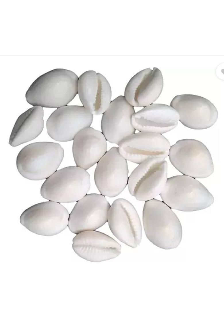 megoodluk GRAY WHITE KAUDI,GOMTICHAKRA KAMALGATTA 11 EACH. Decorative Showpiece - 2 cm&nbsp;&nbsp;(Stone, White, Yellow, Black) - Indya