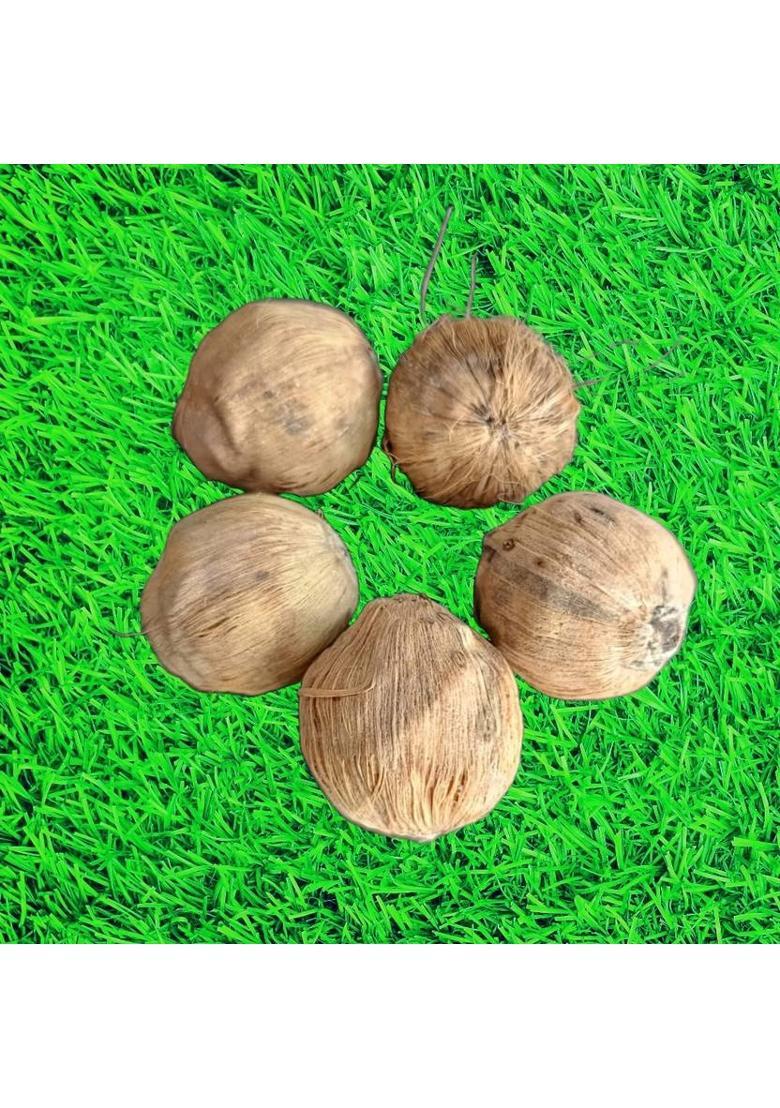 LUXMIRAMNA Laghu Nariyal, Mahalakshmi Small Coconut for Luxmi / Diwali Puja -Set of 5 , Prayer Kit - Indya