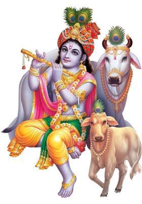 Decor Villa 50 cm 3D Krishna with Cow JUST Peel & Stick Trendy for Living Room Prayer Room etc Self Adhesive Sticker  (Pack of 1)