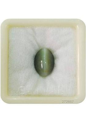 6.00 Ratti Natural Cats Eyes Gemstone for Men and Women Lab Certified Stone Cat