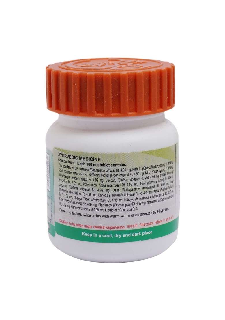 Patanjali Divya Punarnavadi Mandoor 0.74 oz (21 GM) - Indya
