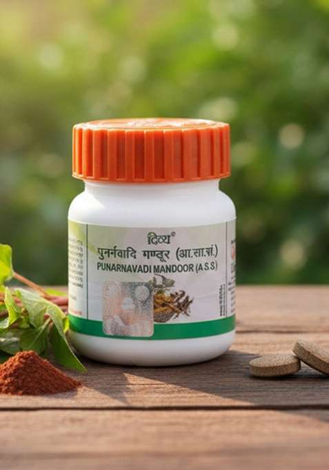Patanjali Divya Punarnavadi Mandoor 0.74 oz (21 GM)