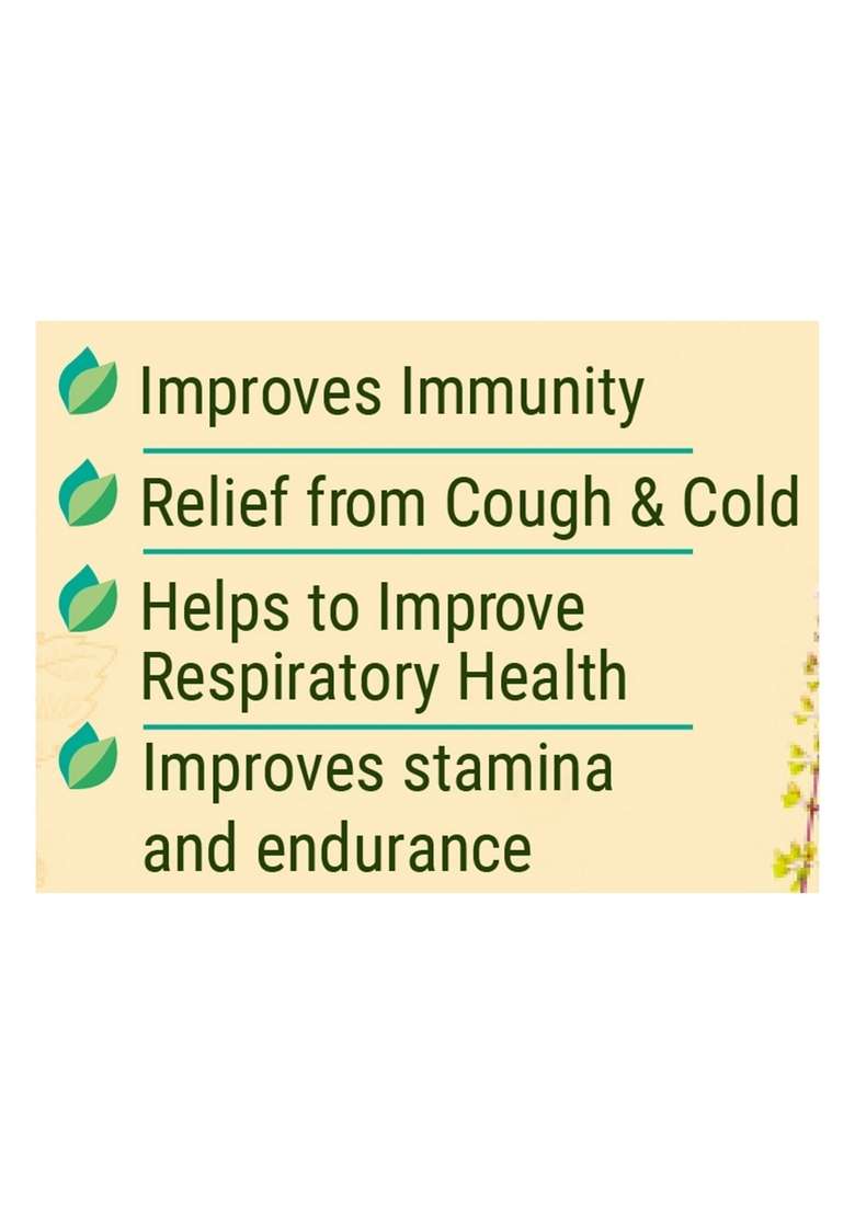 Patanjali Shila Tulsi Drop 1.01 oz (30 ML) - Indya