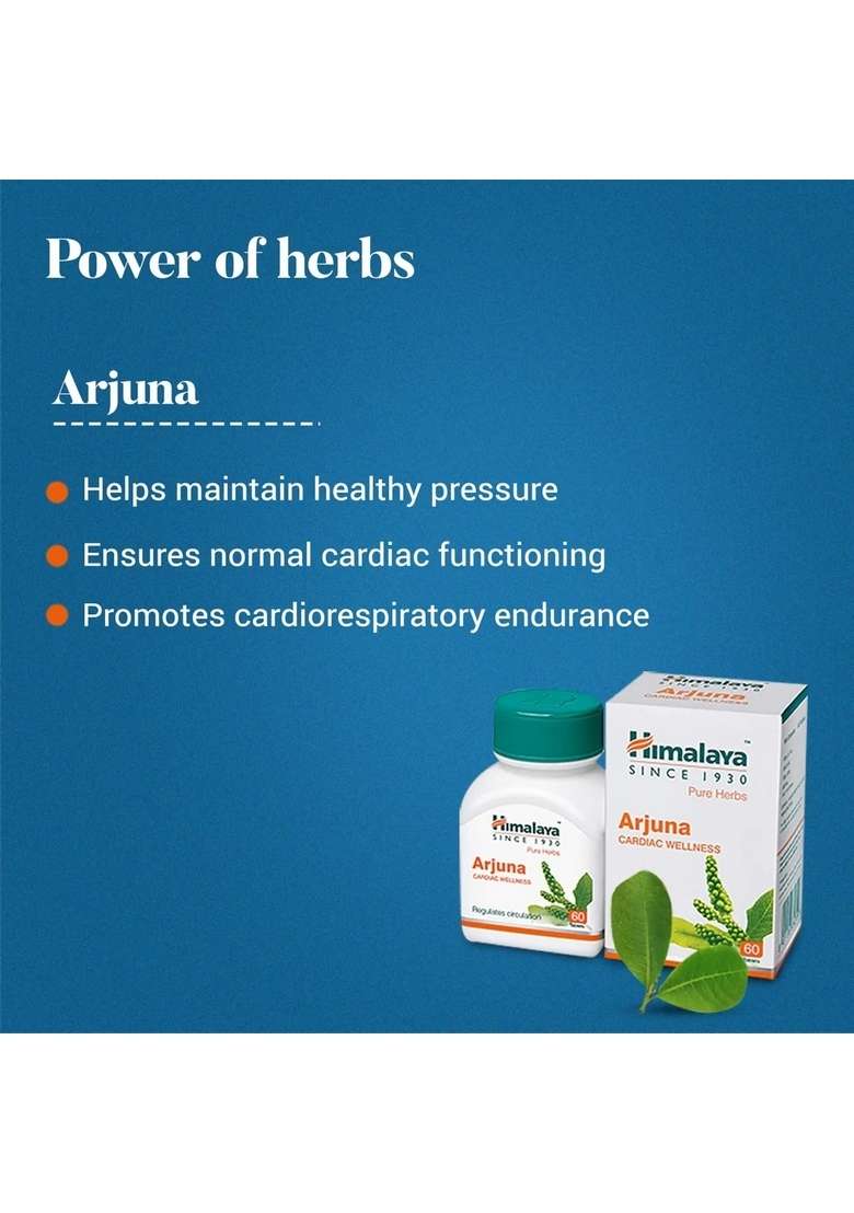 Himalaya Arjuna - Indya