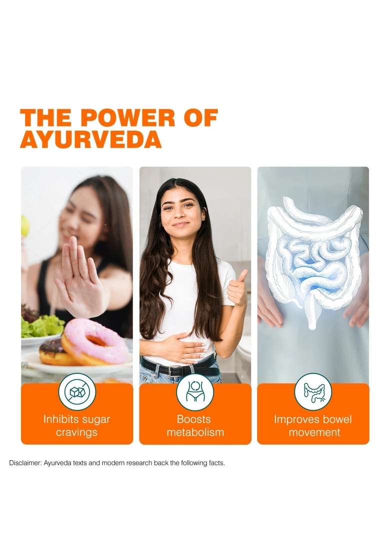 Himalaya Ayurslim Capsules - Indya