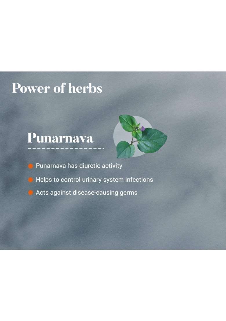 Himalaya Punarnava - Indya