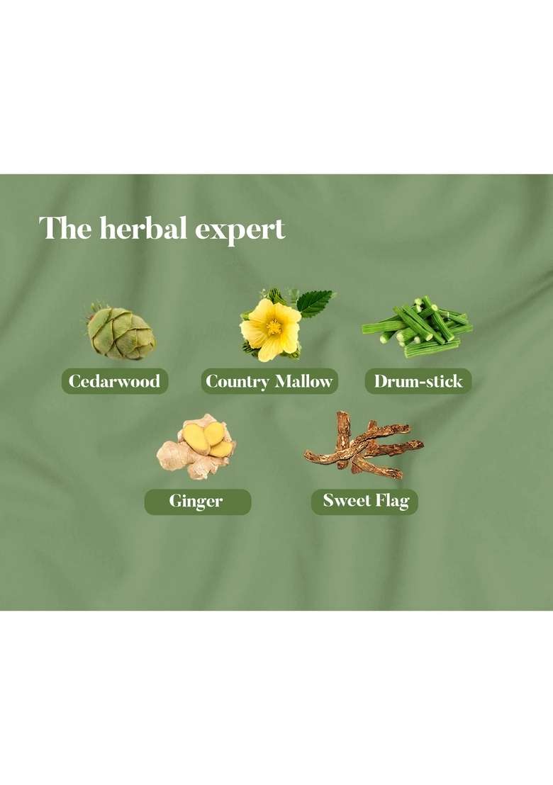 Himalaya Pain Relief Oil - Indya