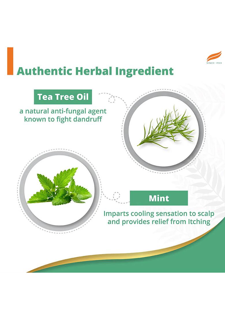 Himalaya Anti-Dandruff Cooling Mint Shampoo