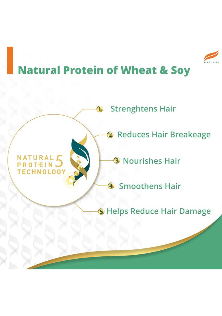 Himalaya Anti-Dandruff Cooling Mint Shampoo