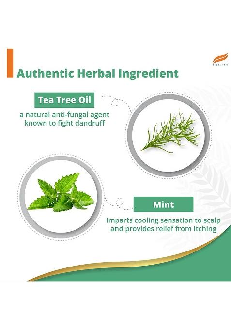 Himalaya Anti-Dandruff Cooling Mint Shampoo