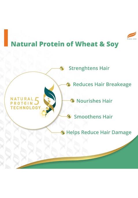 Himalaya Anti-Dandruff Cooling Mint Shampoo