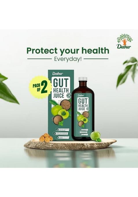 DABUR Gut Health Juice - Natural & Ayurvedic Digestive Care Solution , No Artificial Colors, Flavours & Sugars (Pack of 2)