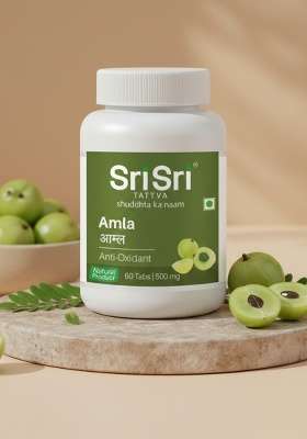SRI SRI TATTV Amla - Anti Oxidant, 60 Tabs | 500 mg