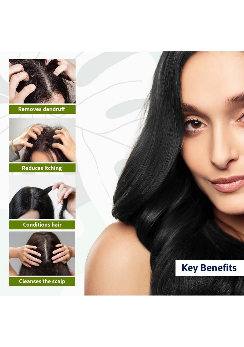 SRI SRI TATTV Anti Dandruff Shampoo