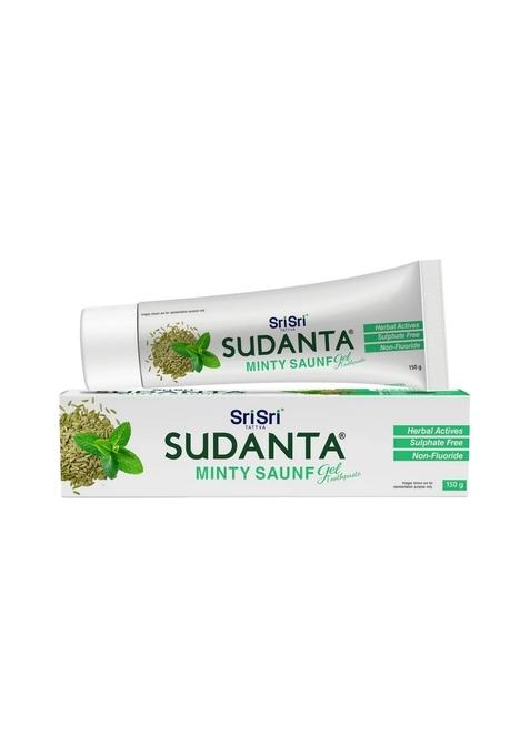 SRI SRI TATTV Sudanta Minty Saunf Gel Toothpaste - Non - Fluoride - 100% Vegetarian, 150 g