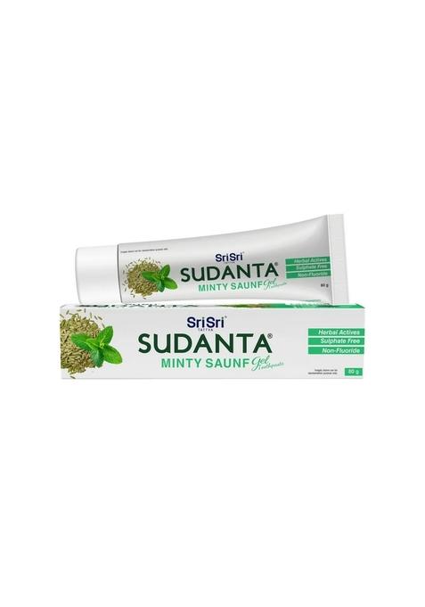 SRI SRI TATTV Sudanta Minty Saunf Gel Toothpaste - Non - Fluoride - 100% Vegetarian, 80 g