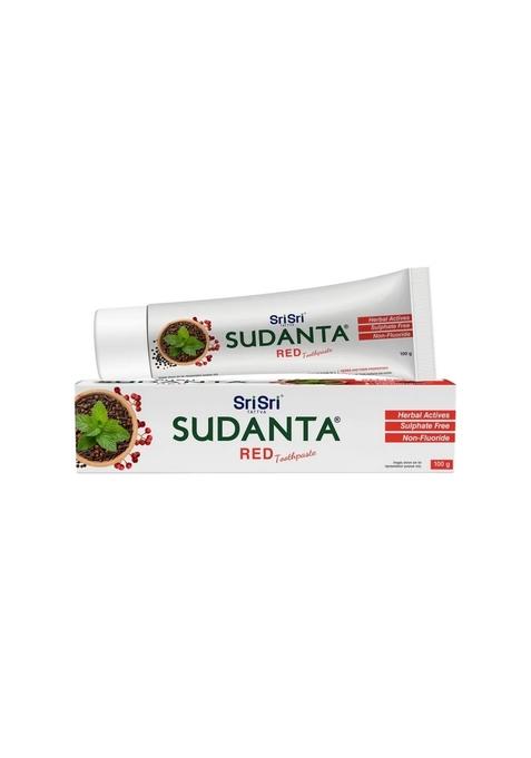 SRI SRI TATTV Sudanta Red Toothpaste - Non - Fluoride - 100% Vegetarian, 100 g