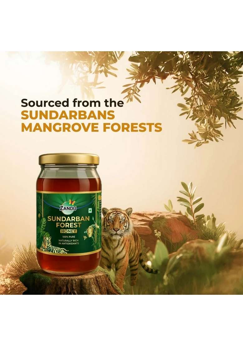 Emami Zandu Pure Honey Sundarbans - Indya