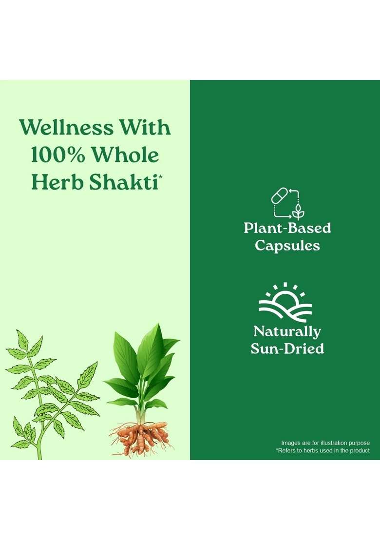 ORGANIC INDIA Beautiful Skin Capsules - Indya
