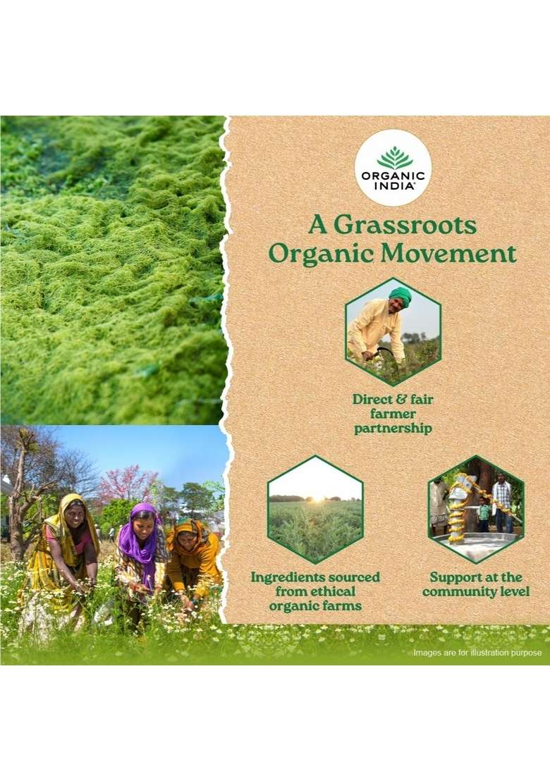 ORGANIC INDIA Organic Wheatgrass Powder - Indya