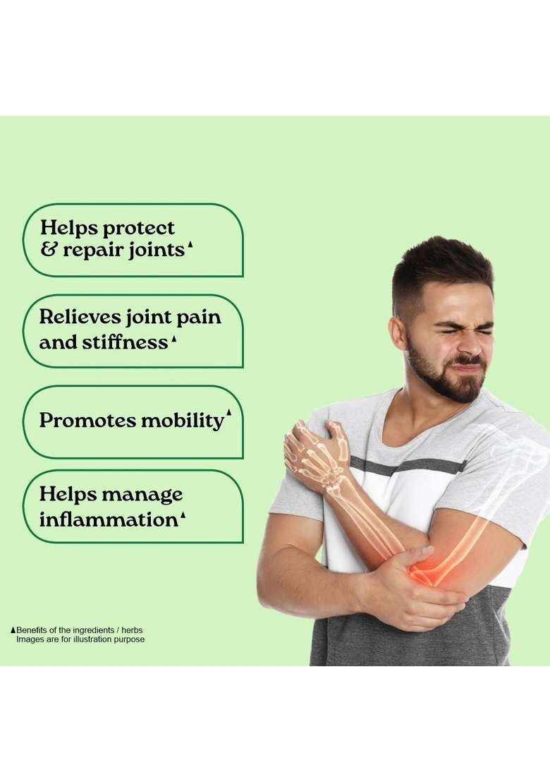 ORGANIC INDIA Flexibility Capsules - Indya