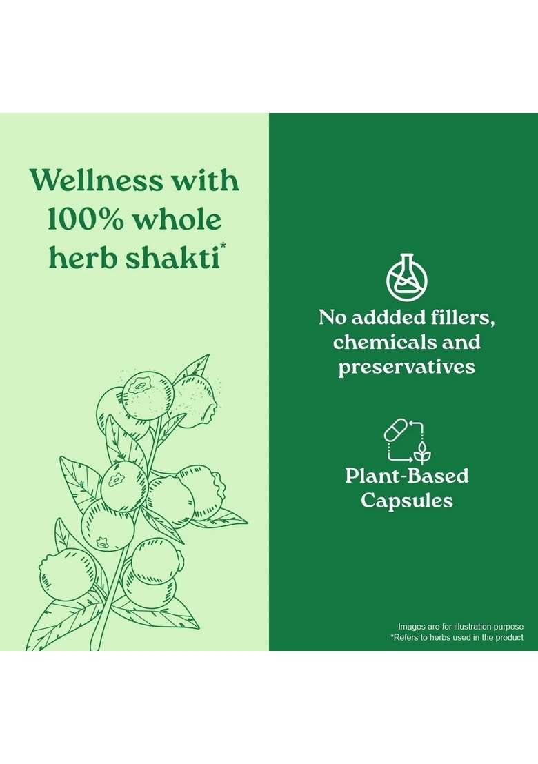 ORGANIC INDIA Garcinia Cambogia - Indya