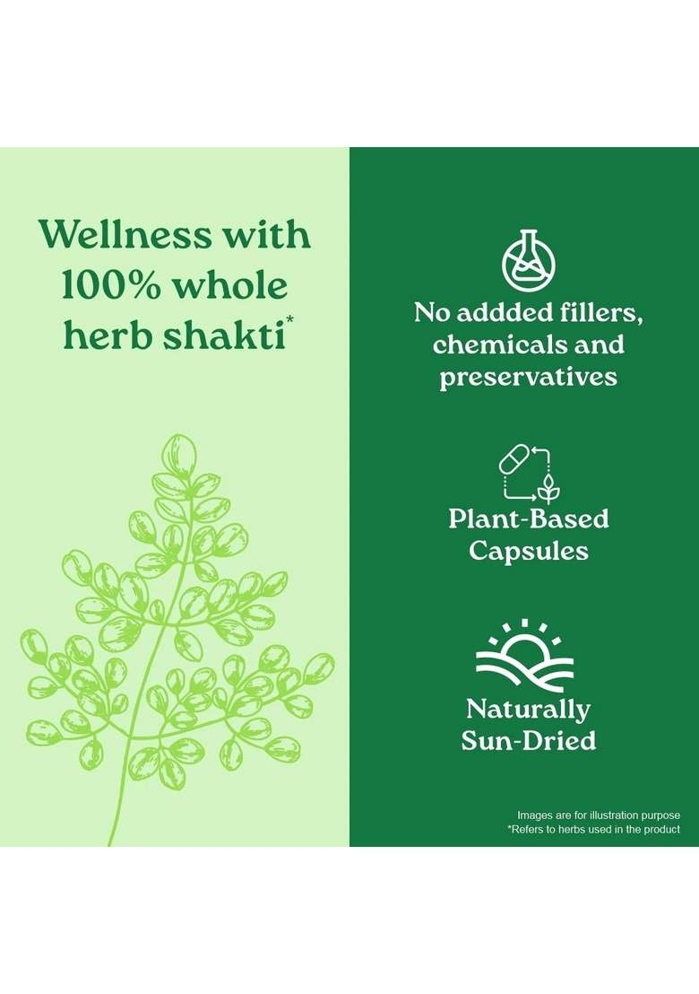 ORGANIC INDIA Moringa Capsules - Indya